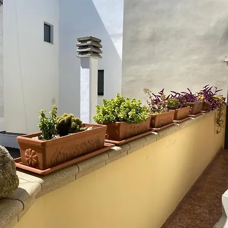 Apartment I Fichi D'india Centro Storico