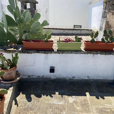 I Fichi D'india Centro Storico Apartment